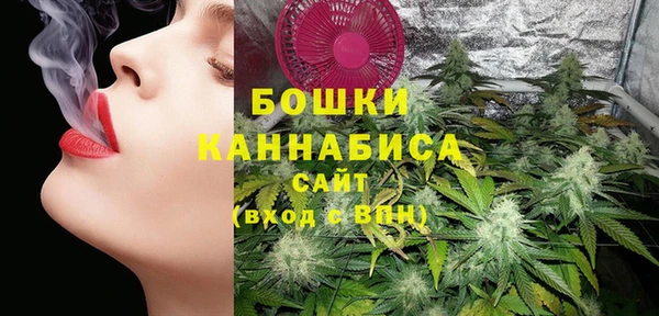 PSILOCYBIN Нефтегорск