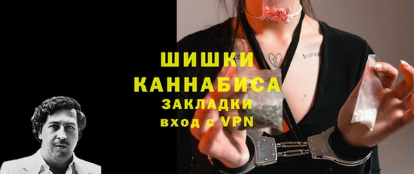 PSILOCYBIN Нефтегорск