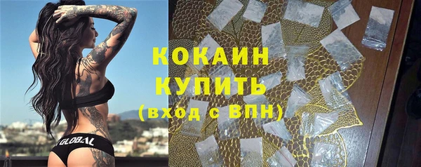 спайс Нея