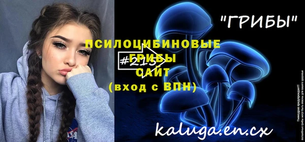 спайс Нея