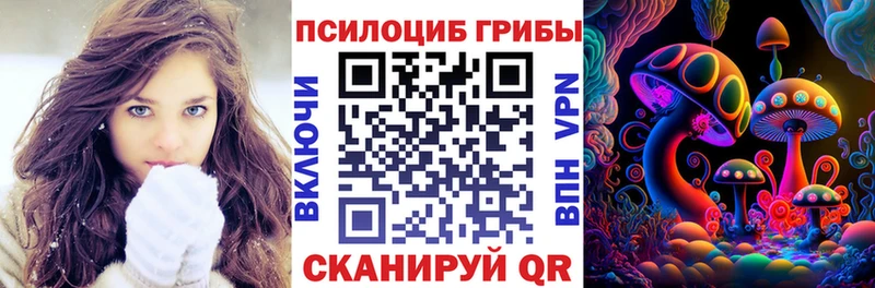 Купить где  Новая Ладога  Псилоцибиновые грибы прущие грибы 